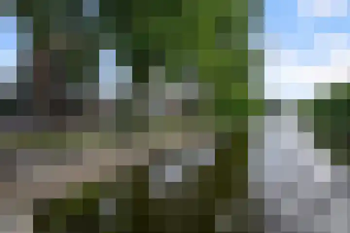 Hoofdweg 670 Amsterdam thumbnail 32