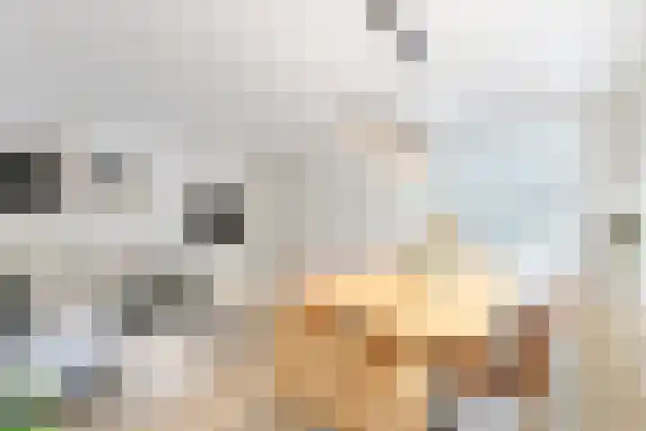 Hoofdweg 670 Amsterdam thumbnail 7