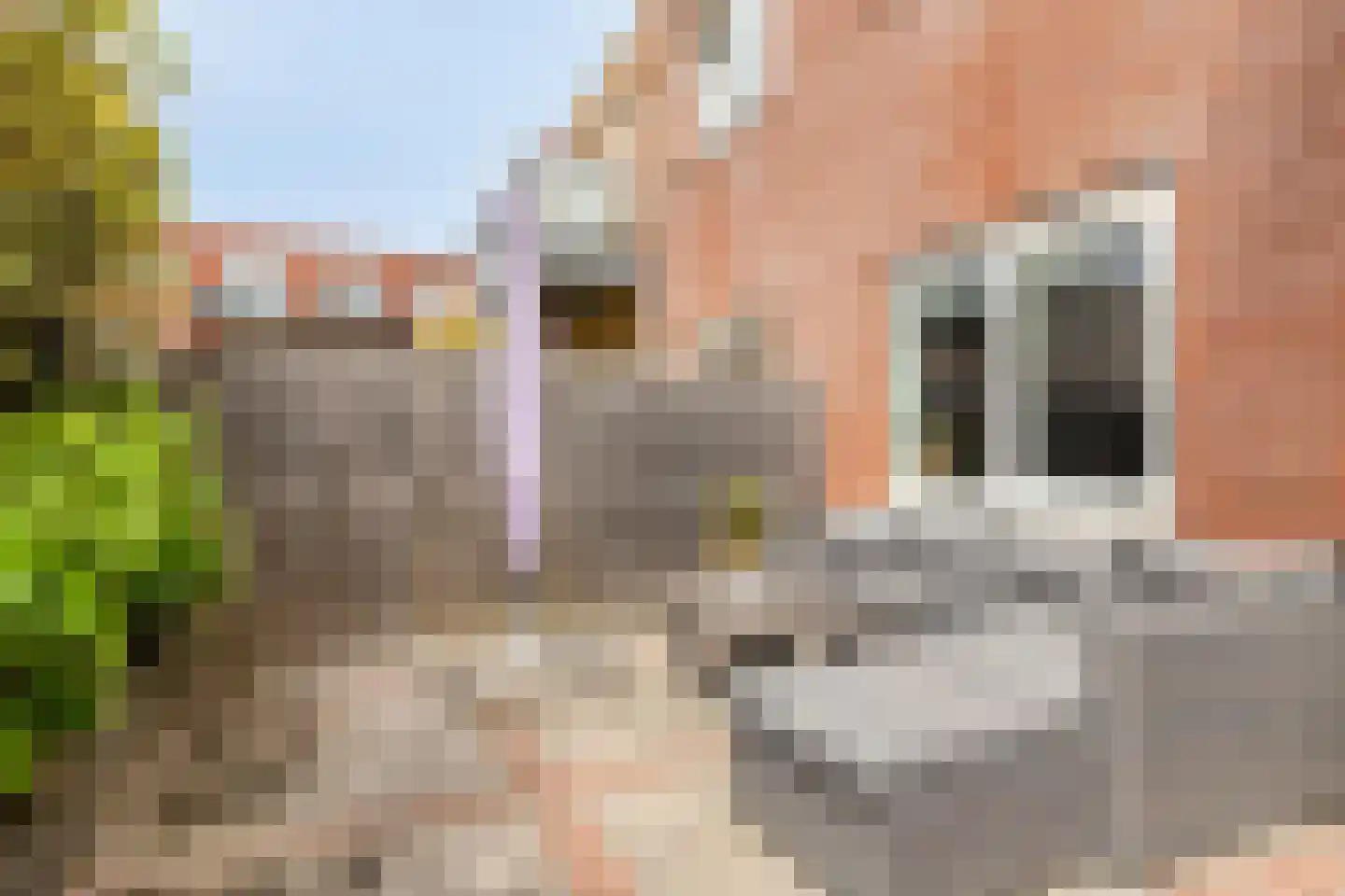 Hoofdweg 676 E Hoofddorp thumbnail 22