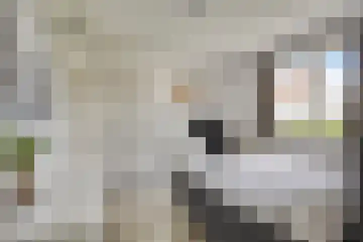Hoofdweg 676 J Hoofddorp thumbnail 23