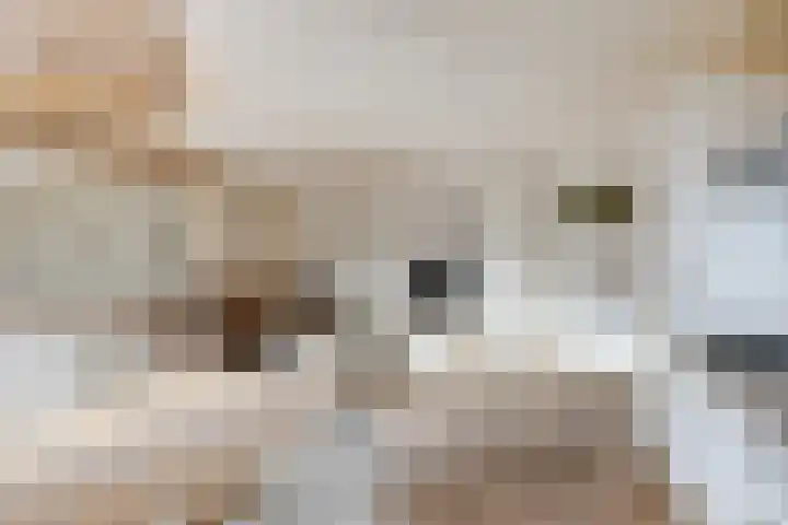 Hoofdweg 678 C Hoofddorp thumbnail 10