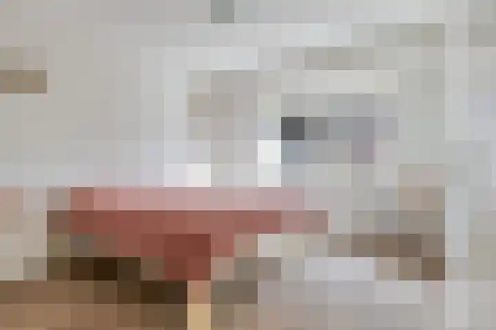 Hoofdweg 678 C Hoofddorp thumbnail 11