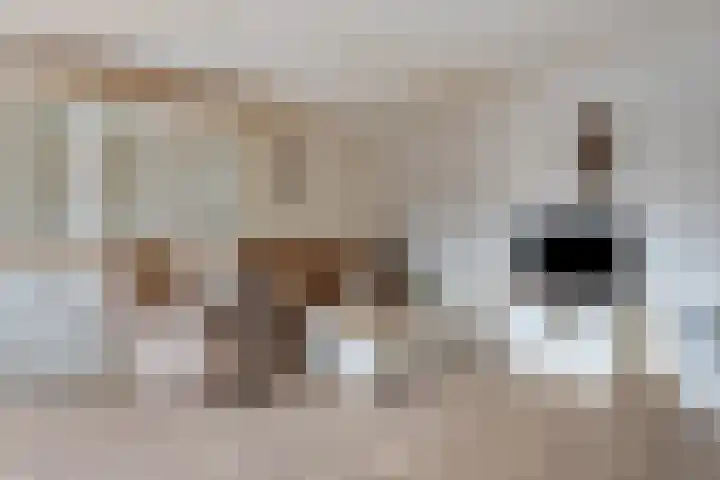 Hoofdweg 678 C Hoofddorp thumbnail 6