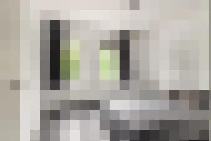 Hoofdweg 678 J Hoofddorp thumbnail 16