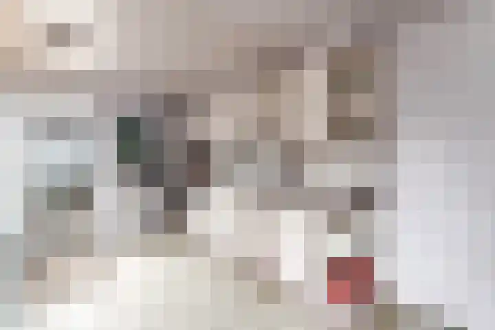 Hoofdweg 68 Oldelamer thumbnail 10
