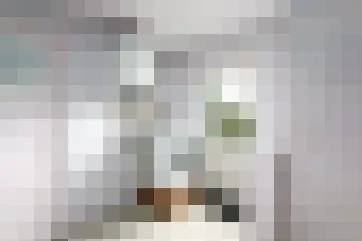 Hoofdweg 68 Oldelamer thumbnail 20