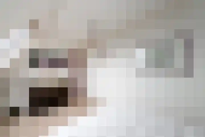 Hoofdweg 68 Oldelamer thumbnail 28