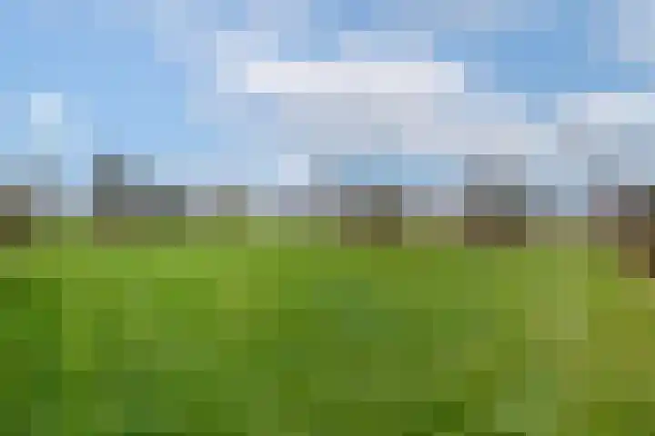 Hoofdweg 68 Oldelamer thumbnail 33