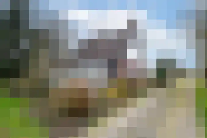 Hoofdweg 68 Oldelamer thumbnail 35