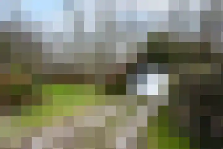 Hoofdweg 68 Oldelamer thumbnail 37