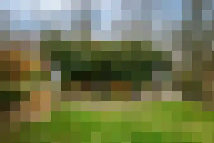 Hoofdweg 68 Oldelamer thumbnail 38