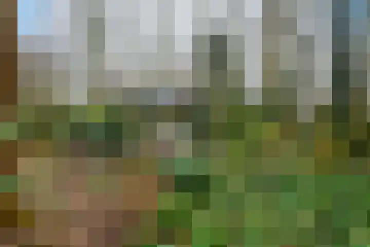 Hoofdweg 68 Oldelamer thumbnail 4