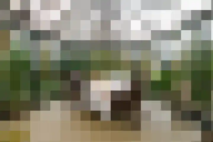 Hoofdweg 68 Oldelamer thumbnail 41