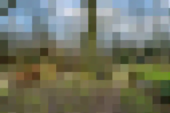 Hoofdweg 68 Oldelamer thumbnail 43