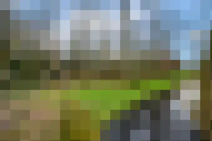 Hoofdweg 68 Oldelamer thumbnail 44