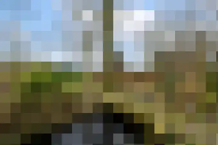 Hoofdweg 68 Oldelamer thumbnail 45