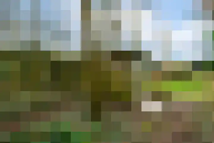 Hoofdweg 68 Oldelamer thumbnail 46