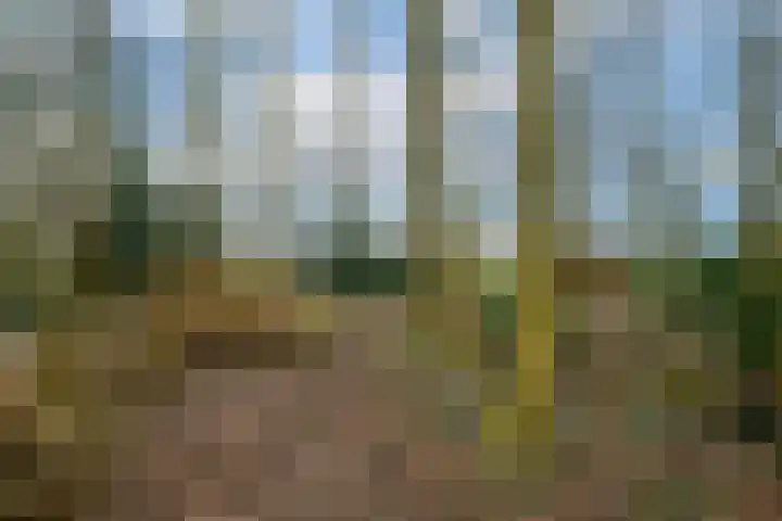Hoofdweg 68 Oldelamer thumbnail 47