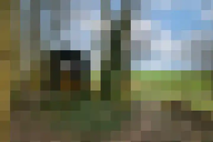 Hoofdweg 68 Oldelamer thumbnail 48