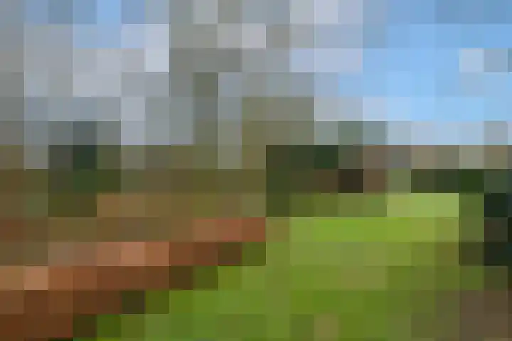 Hoofdweg 68 Oldelamer thumbnail 5