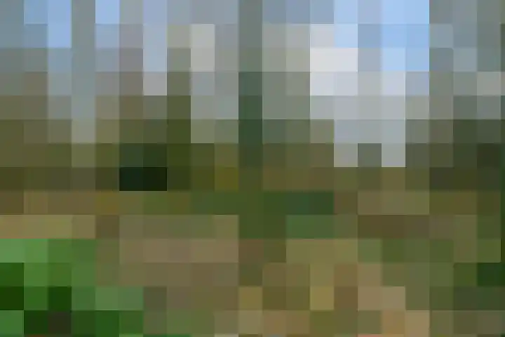 Hoofdweg 68 Oldelamer thumbnail 50