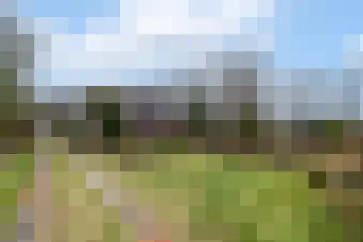 Hoofdweg 68 Oldelamer thumbnail 52