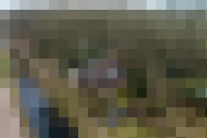 Hoofdweg 68 Oldelamer thumbnail 53