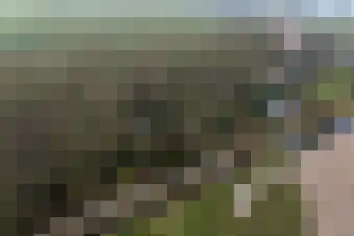 Hoofdweg 68 Oldelamer thumbnail 54