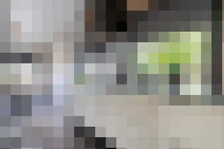 Hoofdweg 69 De Krim thumbnail 14