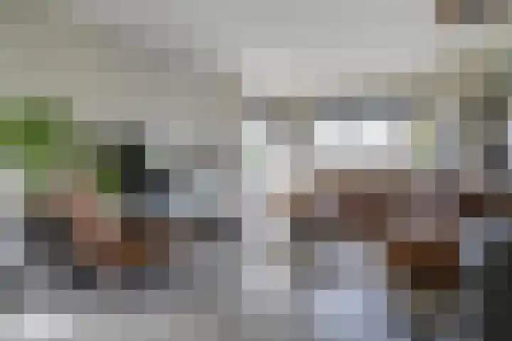 Hoofdweg 69 De Krim thumbnail 16