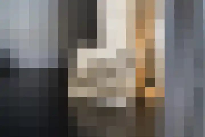 Hoofdweg 69 De Krim thumbnail 18