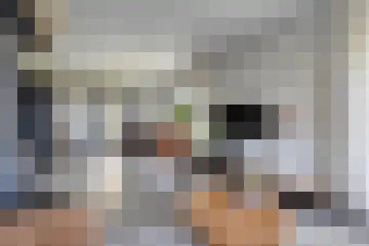 Hoofdweg 69 De Krim thumbnail 19