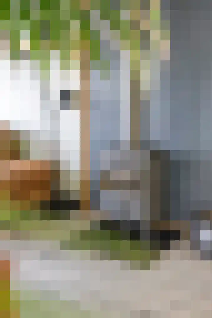 Hoofdweg 69 De Krim thumbnail 20