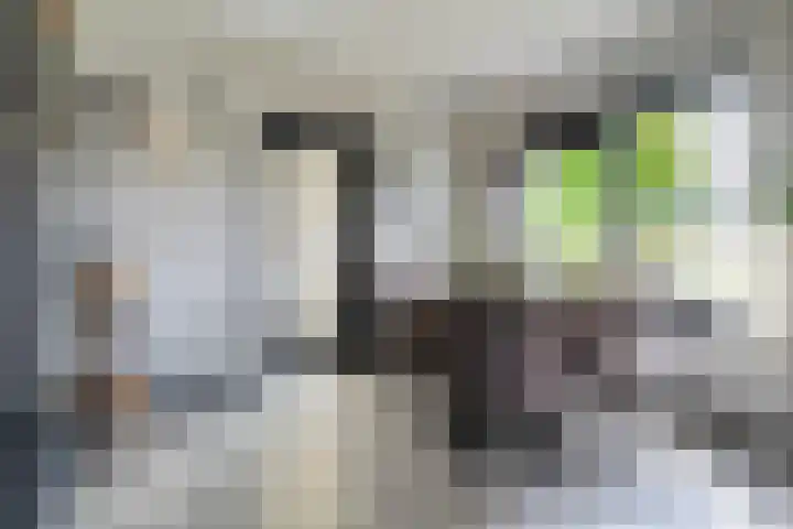 Hoofdweg 69 De Krim thumbnail 21