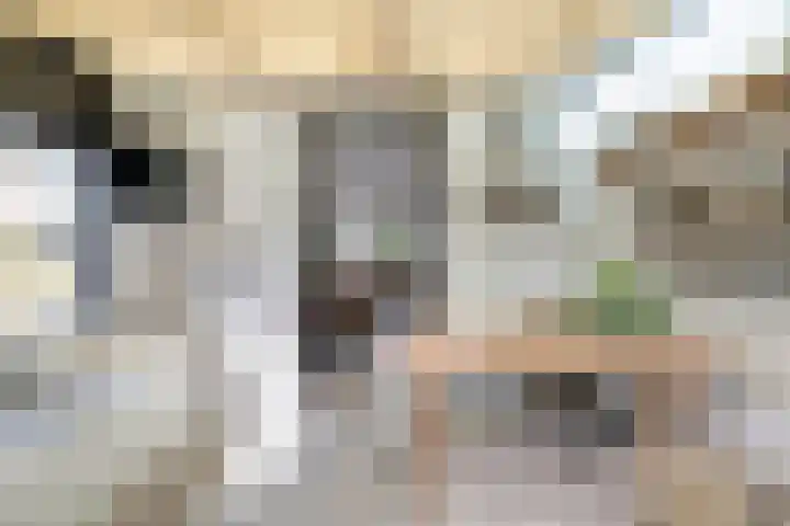 Hoofdweg 69 De Krim thumbnail 23