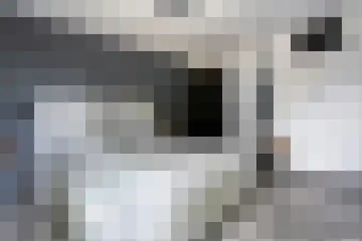 Hoofdweg 69 De Krim thumbnail 27