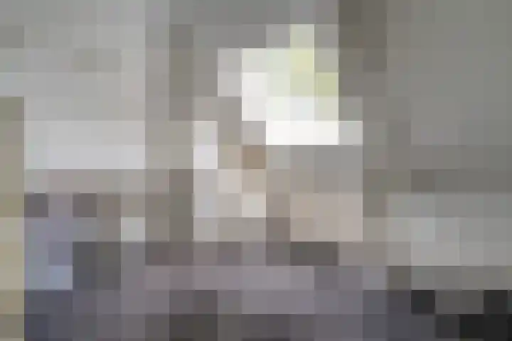 Hoofdweg 69 De Krim thumbnail 29
