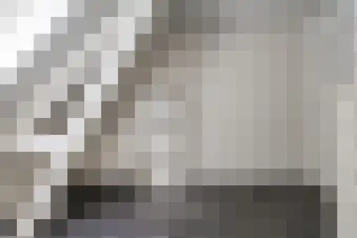 Hoofdweg 69 De Krim thumbnail 30