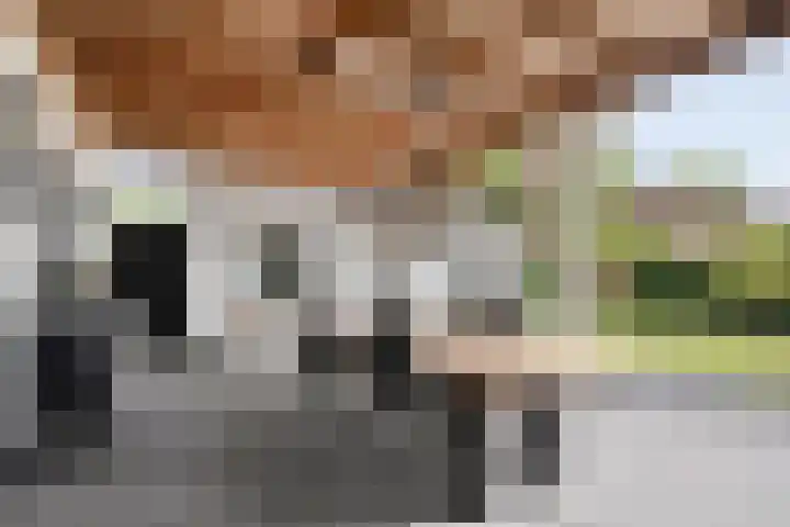 Hoofdweg 69 De Krim thumbnail 39
