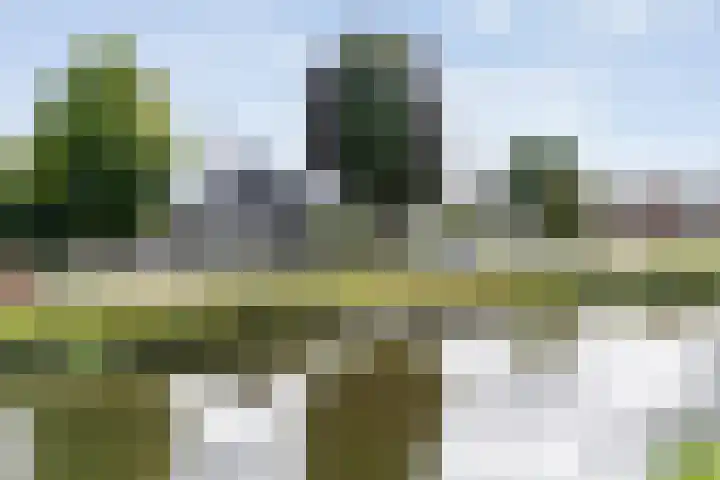 Hoofdweg 69 De Krim thumbnail 4