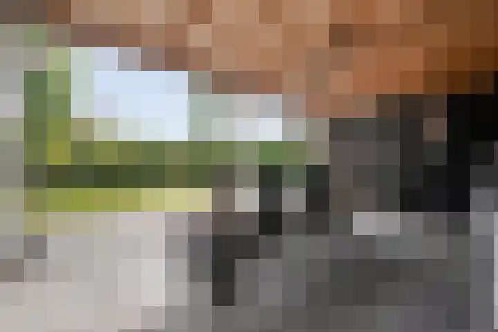 Hoofdweg 69 De Krim thumbnail 40