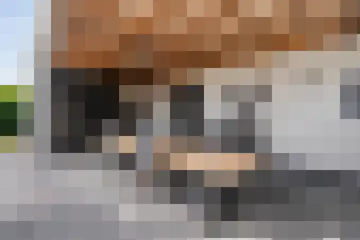 Hoofdweg 69 De Krim thumbnail 41