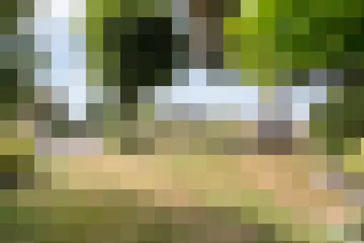 Hoofdweg 69 De Krim thumbnail 43