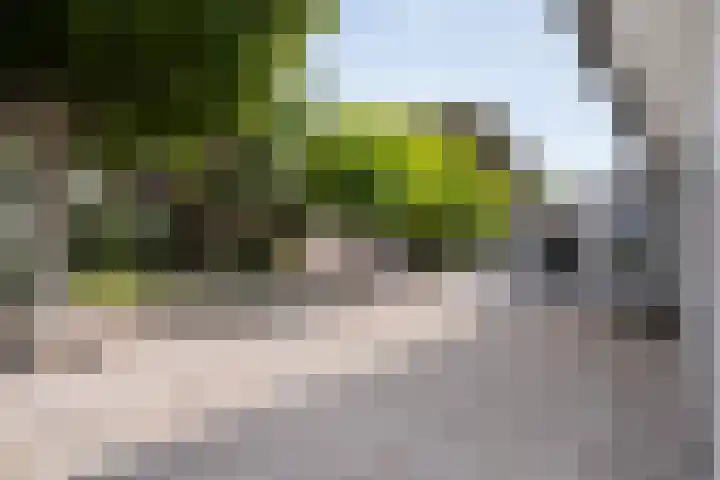 Hoofdweg 69 De Krim thumbnail 44