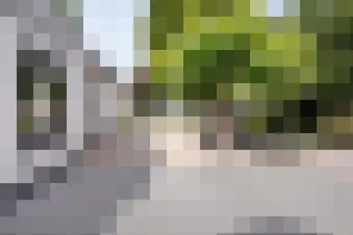 Hoofdweg 69 De Krim thumbnail 46