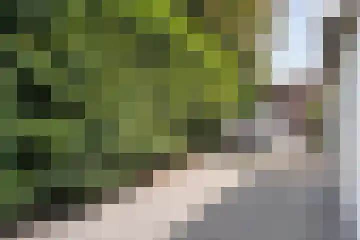Hoofdweg 69 De Krim thumbnail 47