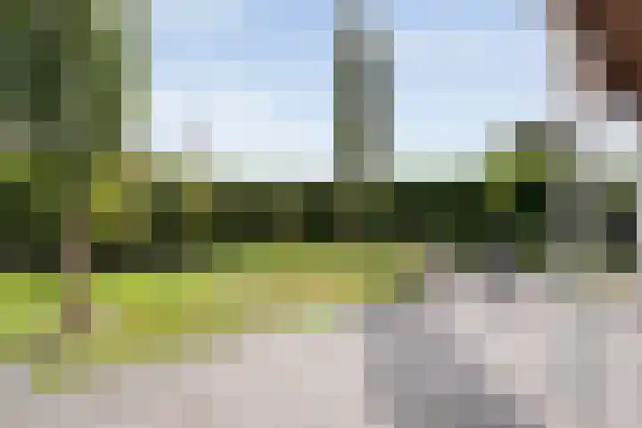 Hoofdweg 69 De Krim thumbnail 48
