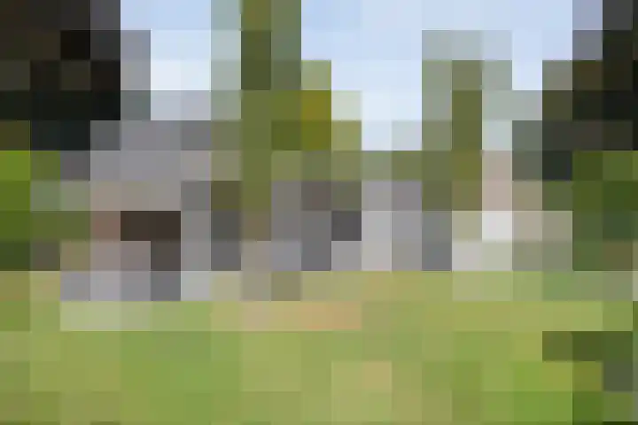Hoofdweg 69 De Krim thumbnail 51