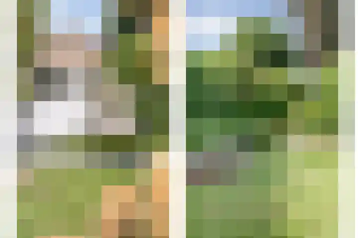 Hoofdweg 69 De Krim thumbnail 52