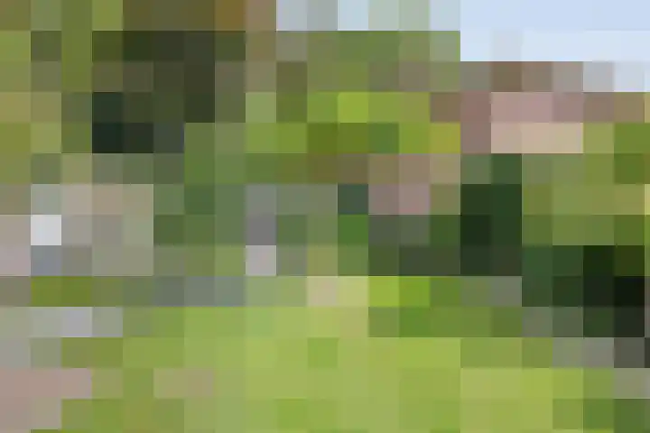 Hoofdweg 69 De Krim thumbnail 53